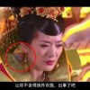 什么生肖摇头摆尾上京城